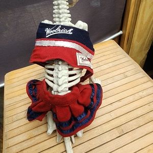 Team Spirit Dog Clothing Bundle